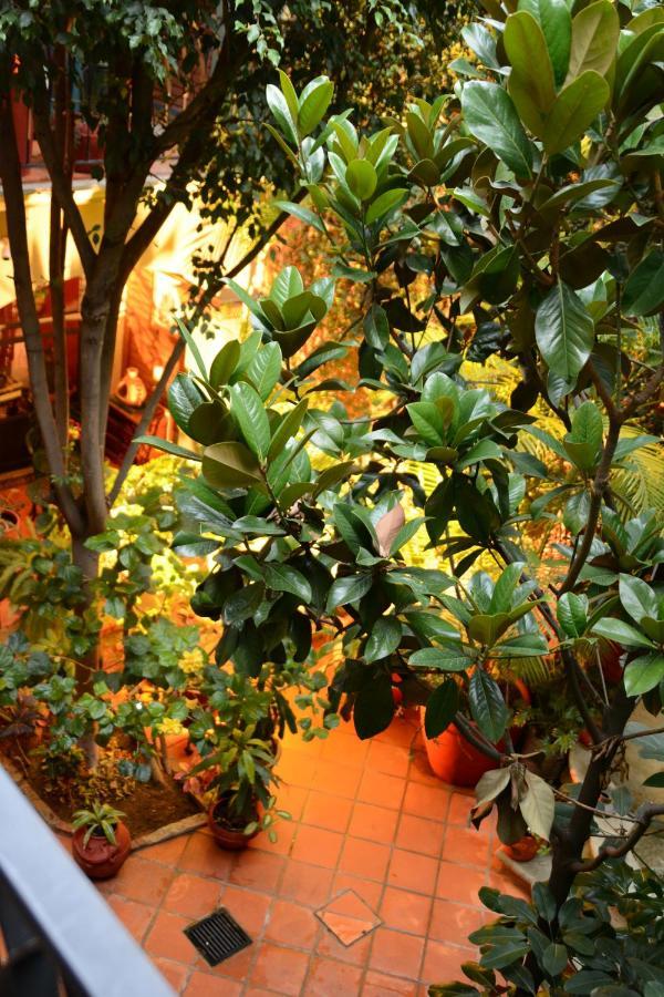 Hotel Casa Guivá Oaxaca Exteriér fotografie