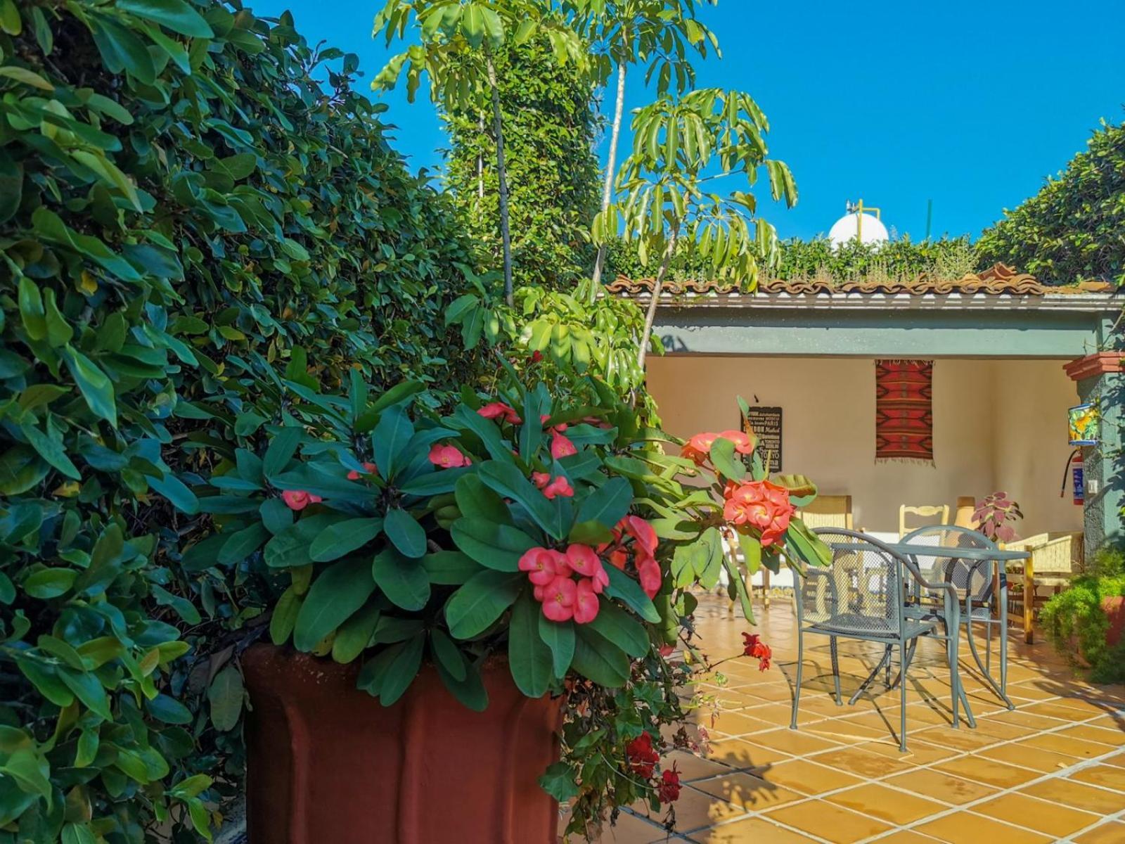 Hotel Casa Guivá Oaxaca Exteriér fotografie