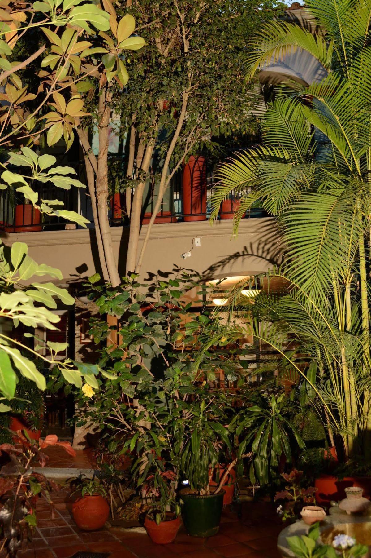 Hotel Casa Guivá Oaxaca Exteriér fotografie